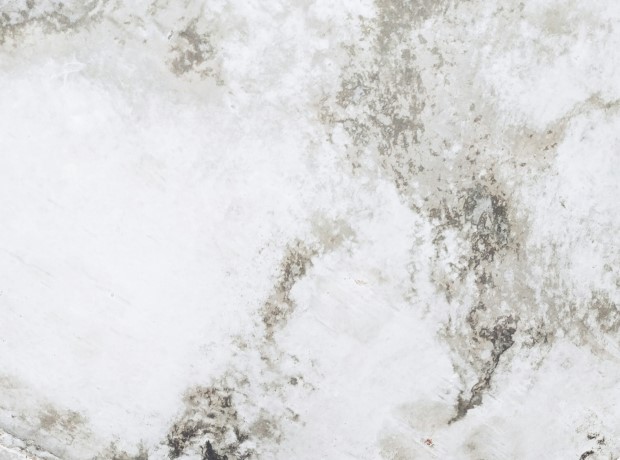 Abdichtung Schimmelbefall